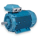 Motor eléctrico  IE3-160M2-4-15kw