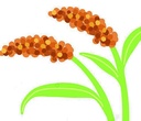 Acarol ( C x 4 x 5 lt )